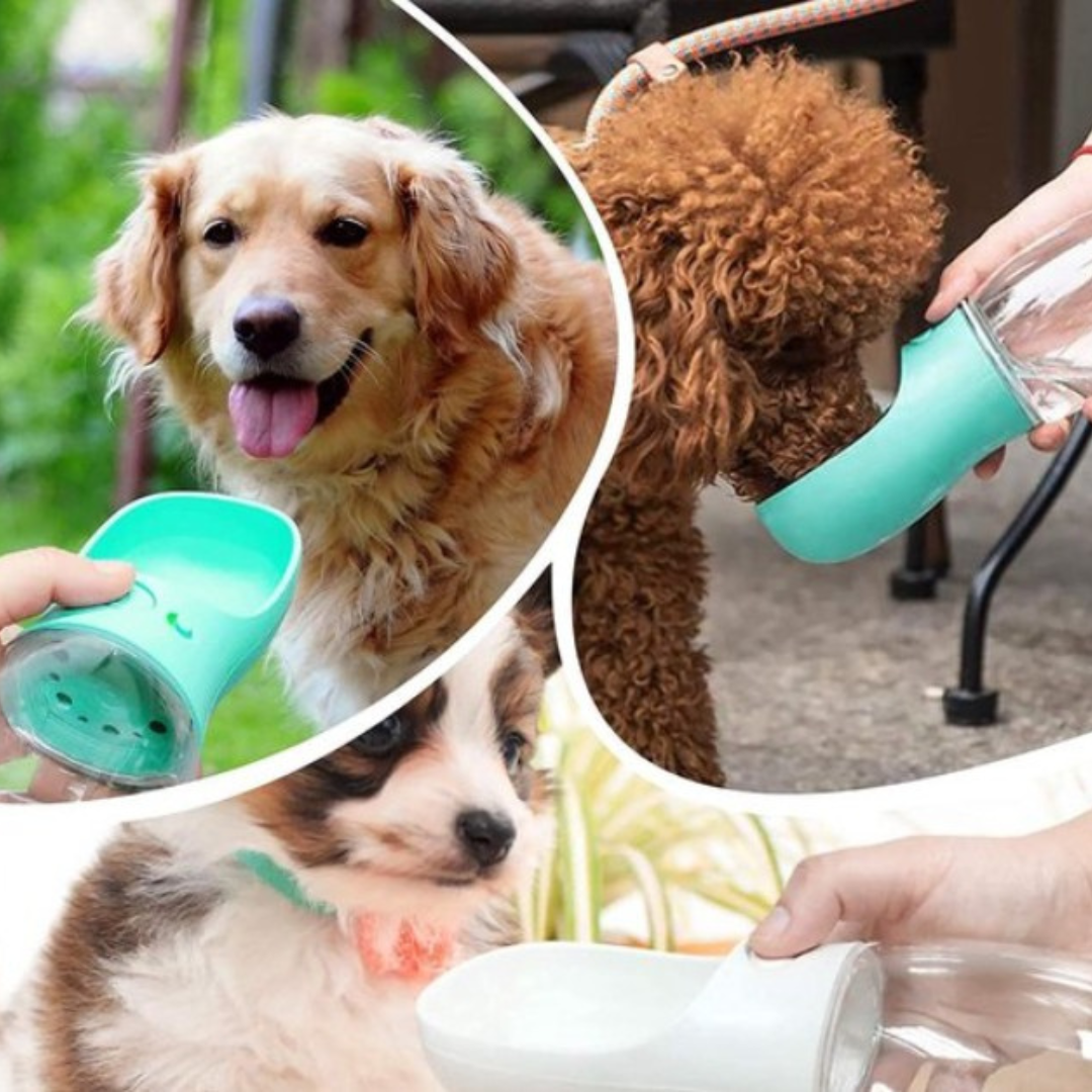 Pet2Go 2-in-1 Drinkfles met Voerbak
