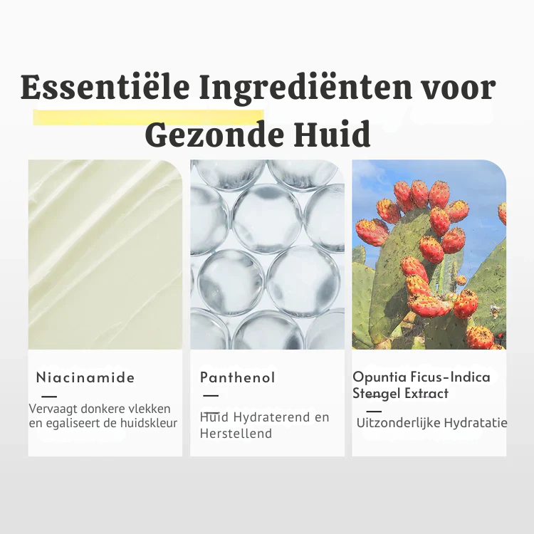 DermalReset™ 345 Beschermende Crème