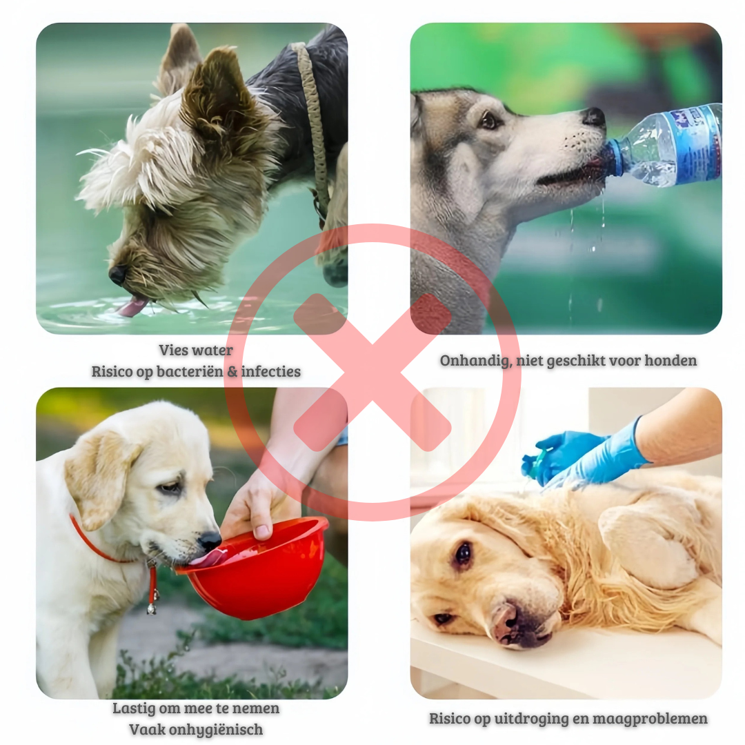 Pet2Go 2-in-1 Drinkfles met Voerbak