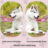 Pet2Go 2-in-1 Drinkfles met Voerbak