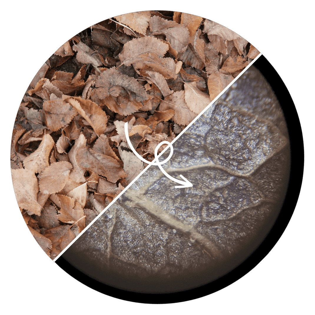 DigiScope — Digitale Mini Microscoop