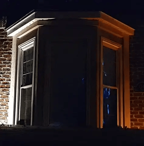 Halloween Projector