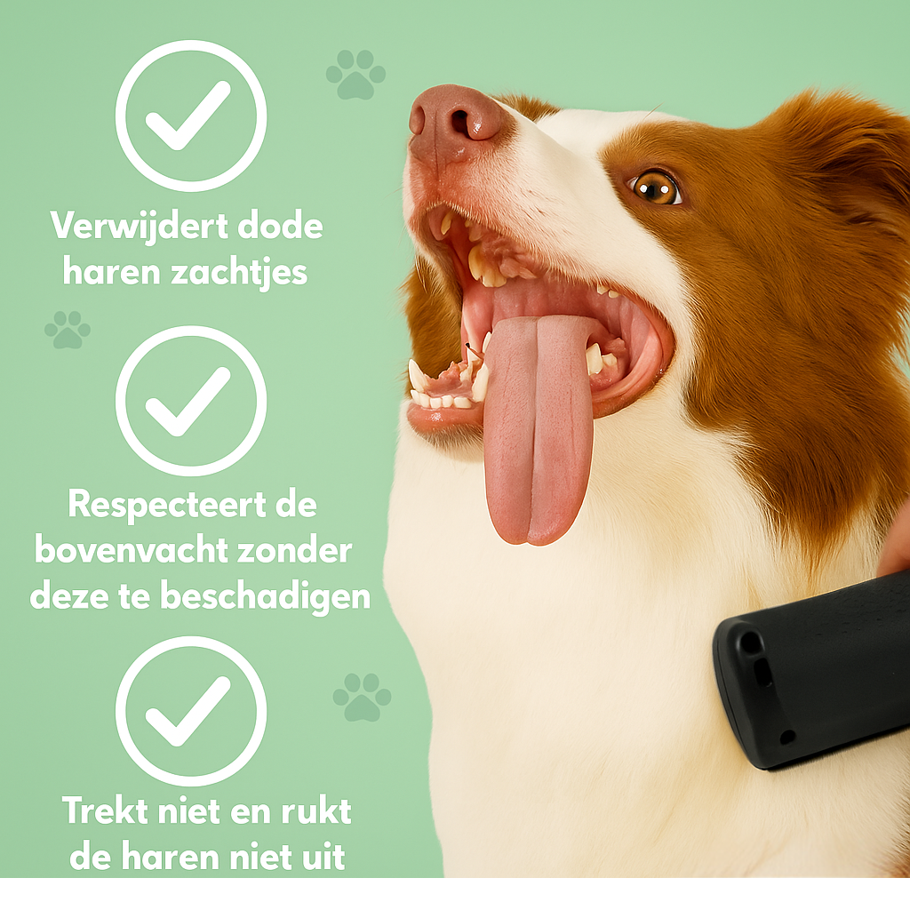 Petiva vachtborstel voor honden en katten – foto 5