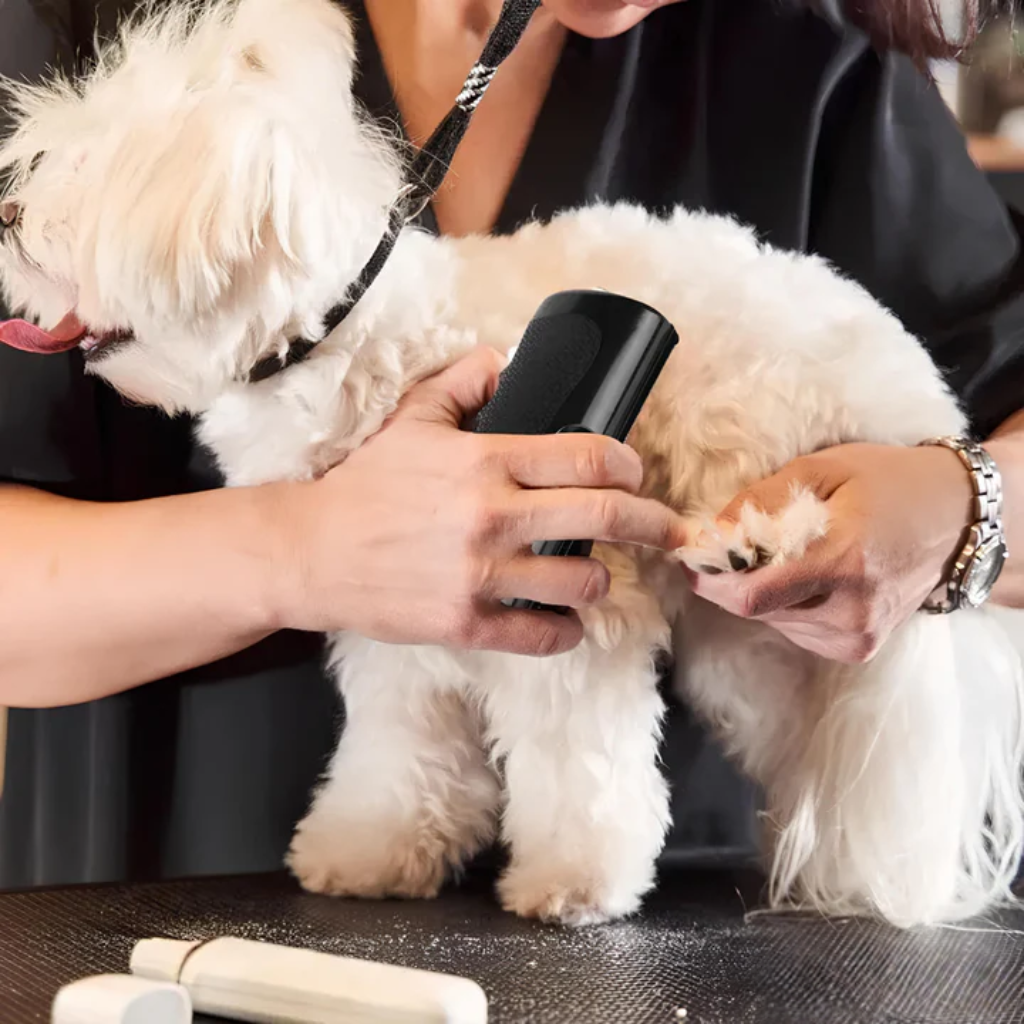 Petiva vachtborstel voor honden en katten – foto 6