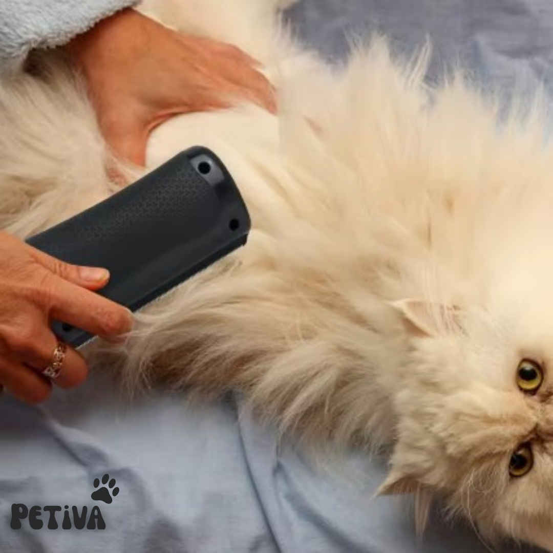Petiva vachtborstel voor honden en katten – foto 8